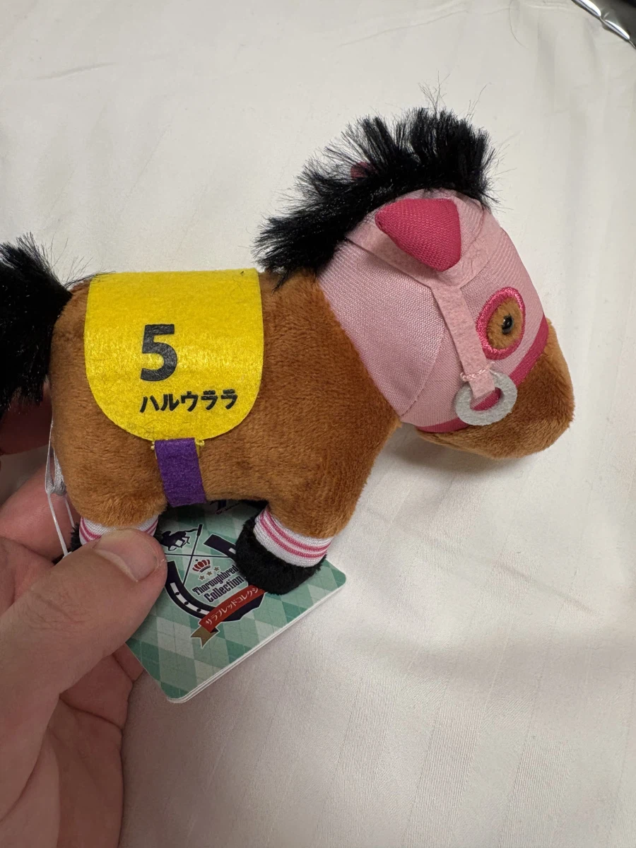 소개합니다, 1.5만원 짜리 하루우라라!_1.webp