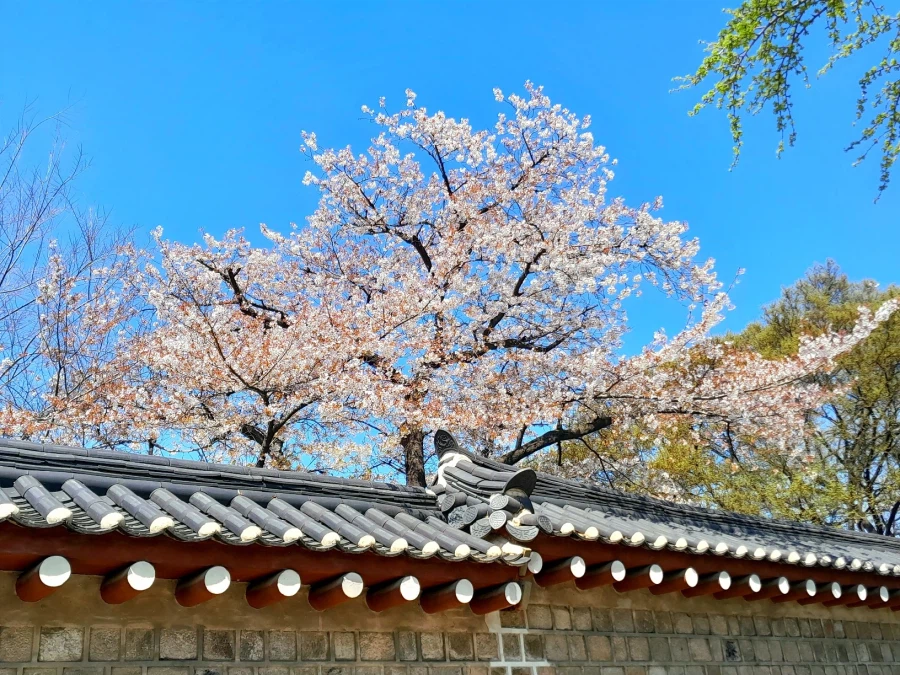 하늘이 예뻐서_1.webp