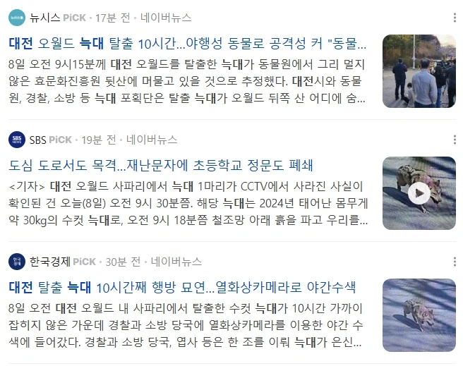 대전 늑대 아직도 못찾았네_1.webp