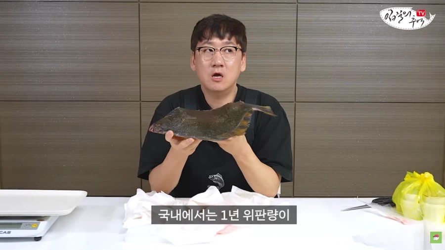 횟집에서 수산물 유튜버에게 부른 희귀 물고기 가격_1.webp