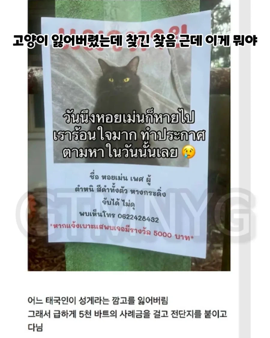 고양이 잃어버렸는데 찾긴 찾음 근데 이게 뭐야...jpg_1.webp