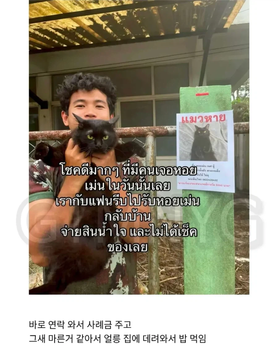 고양이 잃어버렸는데 찾긴 찾음 근데 이게 뭐야...jpg_2.webp