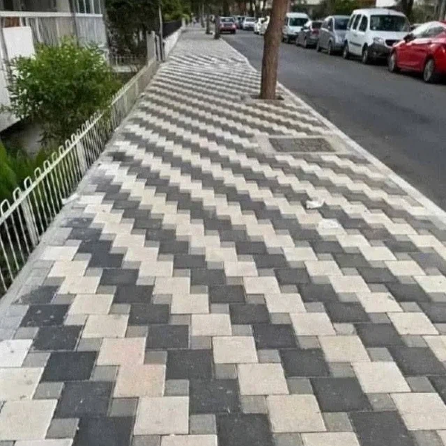 현실 그래픽 버그.jpg_1.webp