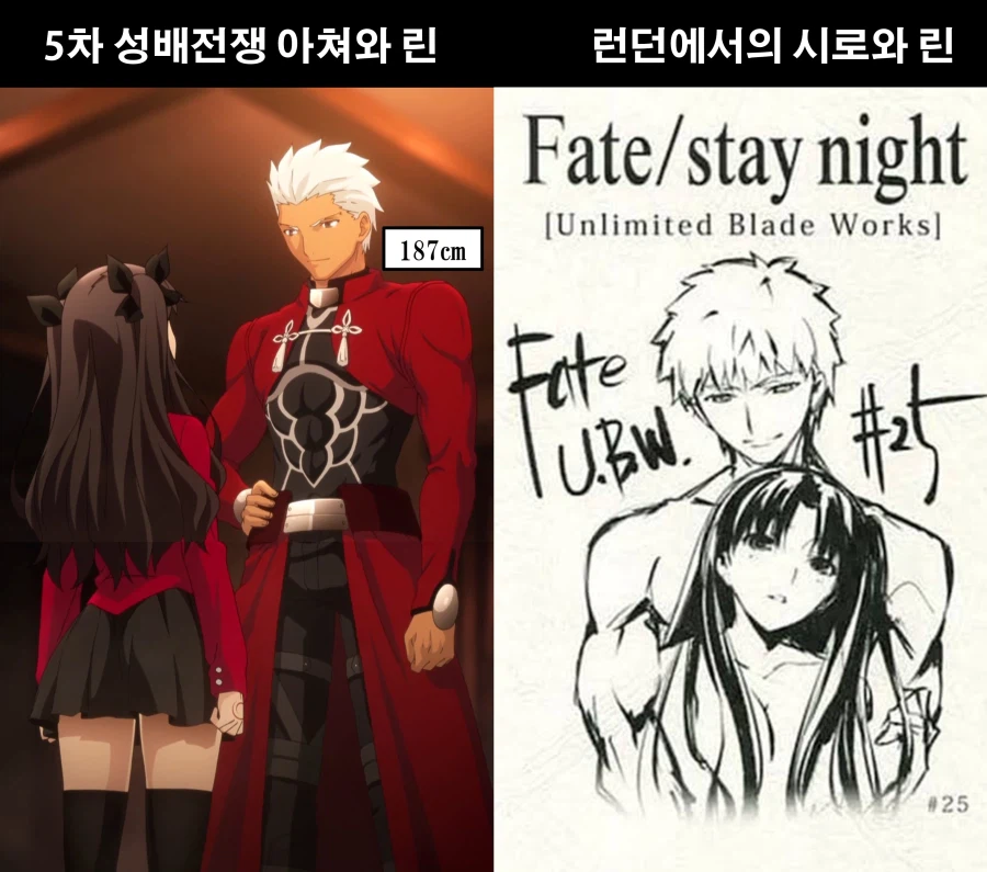 [페이트] 금방 크는 시롱이_1.webp