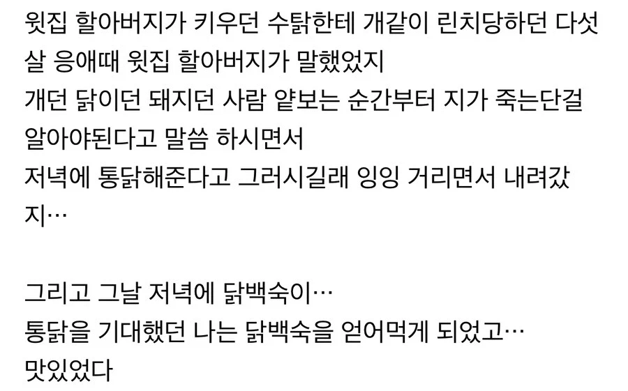 예전 우리나라 시골 , 동물과 인간의 선.jpg_1.webp