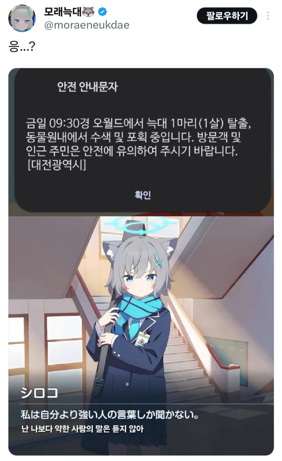 대전 오월드 늑대 사실 시로코 아님...?_1.webp