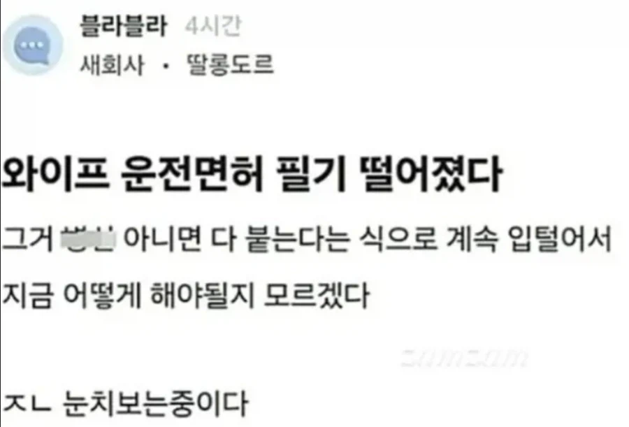 와이프 운전면허 필기 떨어졌다_1.webp