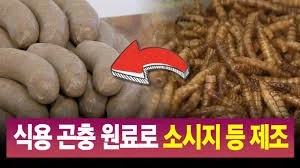 난 비건용 대체육이나 배양육이 조오오온나 잘됐으면 좋겠음._1.webp