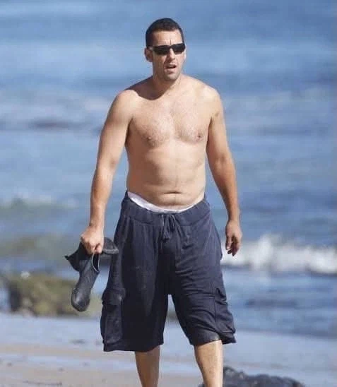 연구 결과 진짜로 인기 입증된 곰 체형_6.webp