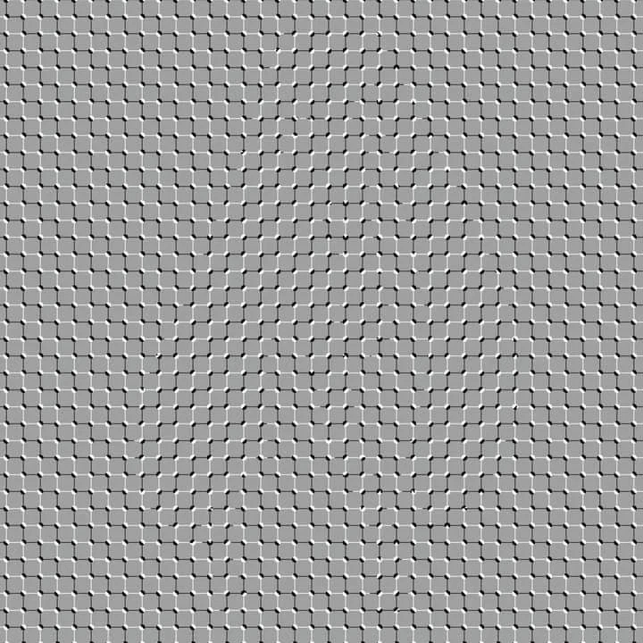 왼쪽 뇌 주로 사용=토끼, 오른쪽 뇌 주로 사용=고양이 보인다함_1.webp