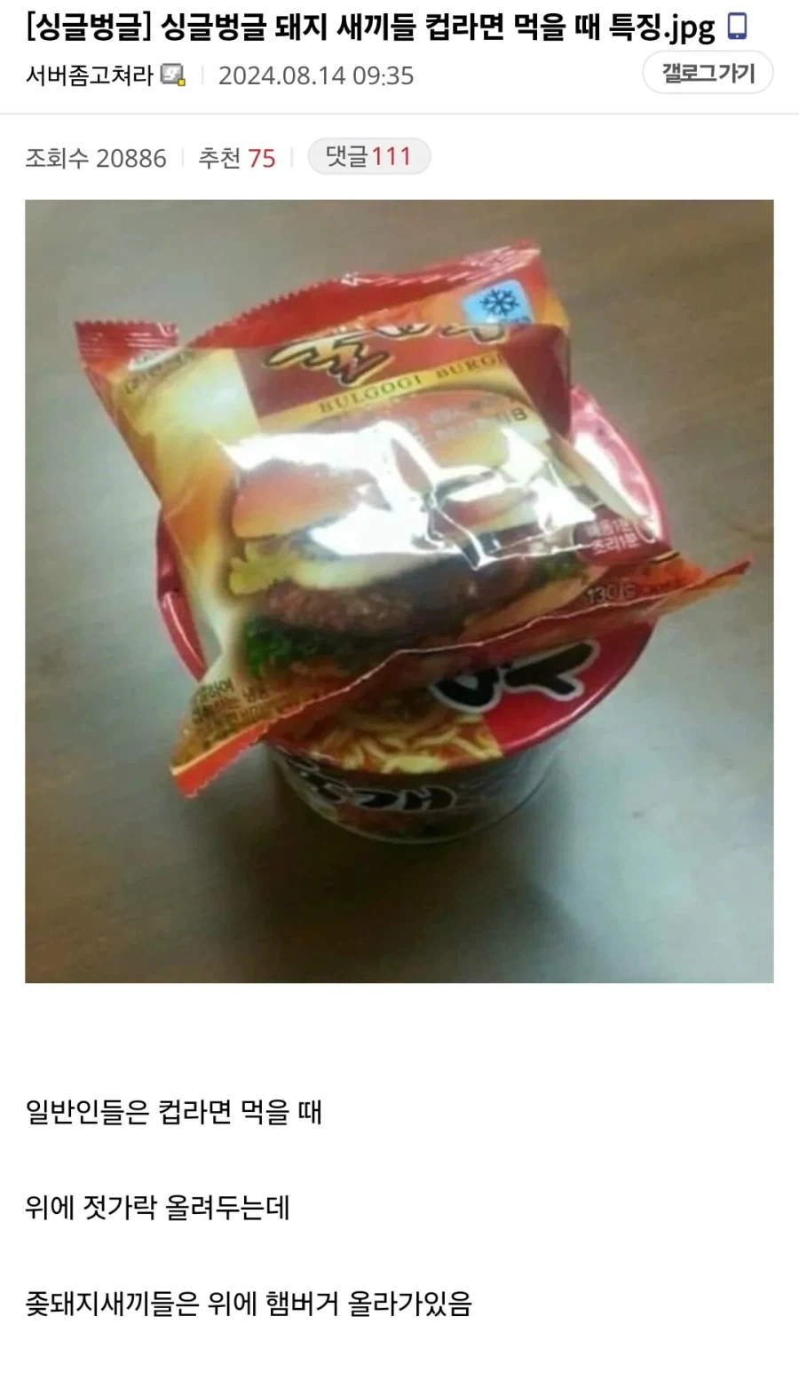 돼지들 컵라면 먹을 때 특징_1.webp