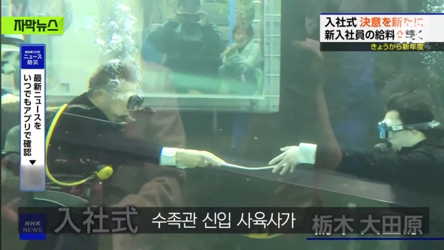 일본의 입사식_1.webp