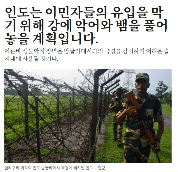 인도, 방글라데시 국경 경비를 위해 악어와 독사 투입_1.webp