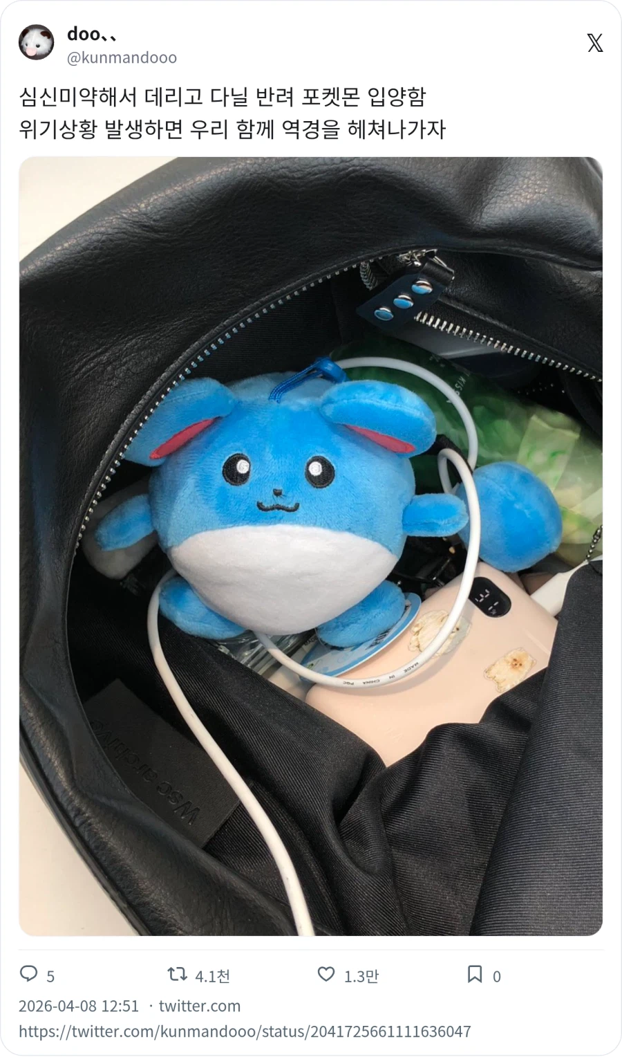 데리고 다니는 반려 포켓몬_1.webp