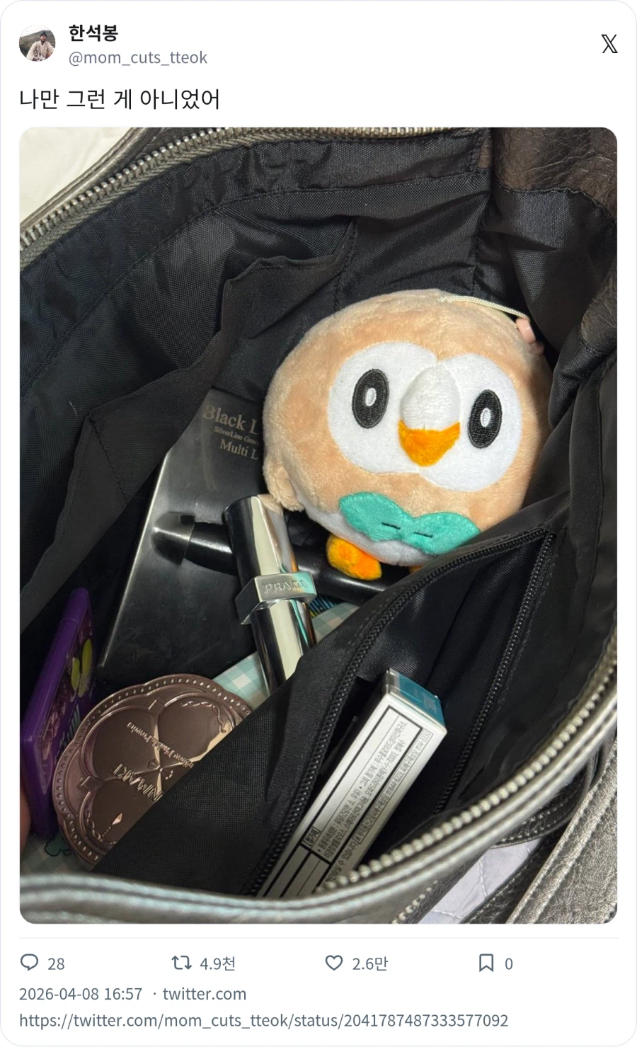 데리고 다니는 반려 포켓몬_2.webp