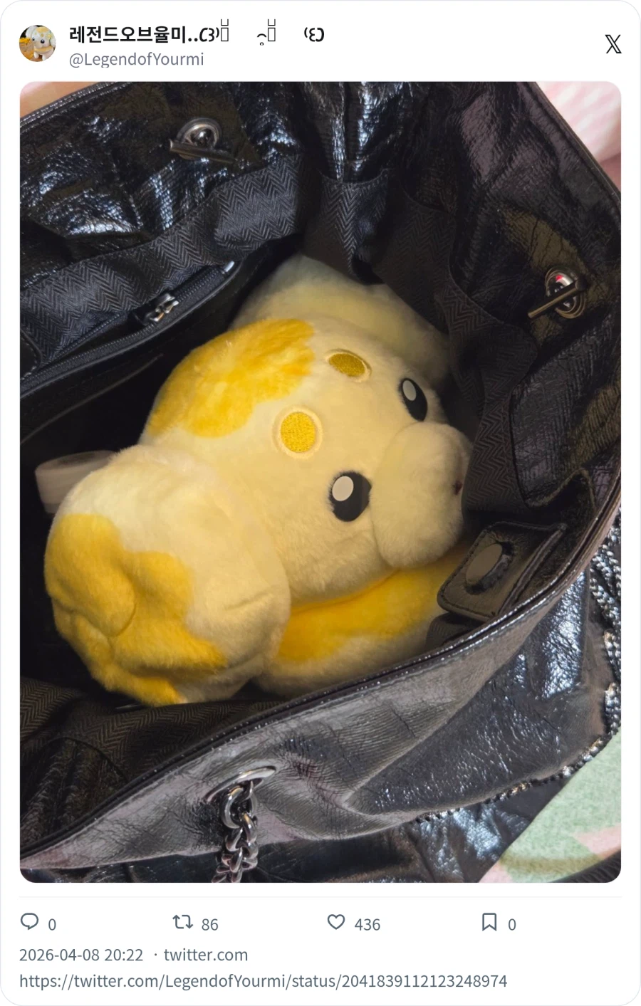 데리고 다니는 반려 포켓몬_3.webp