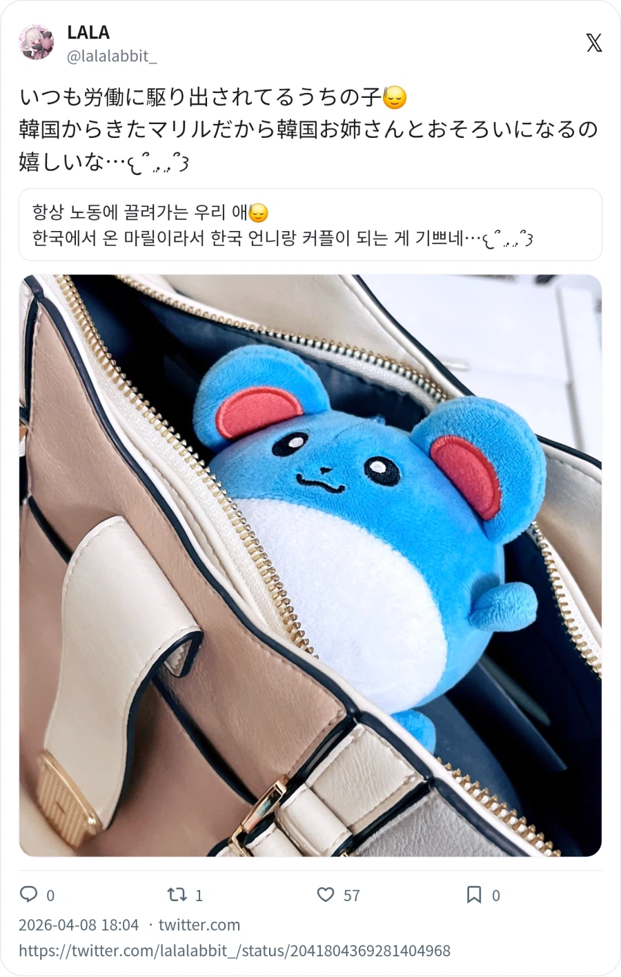 데리고 다니는 반려 포켓몬_5.webp