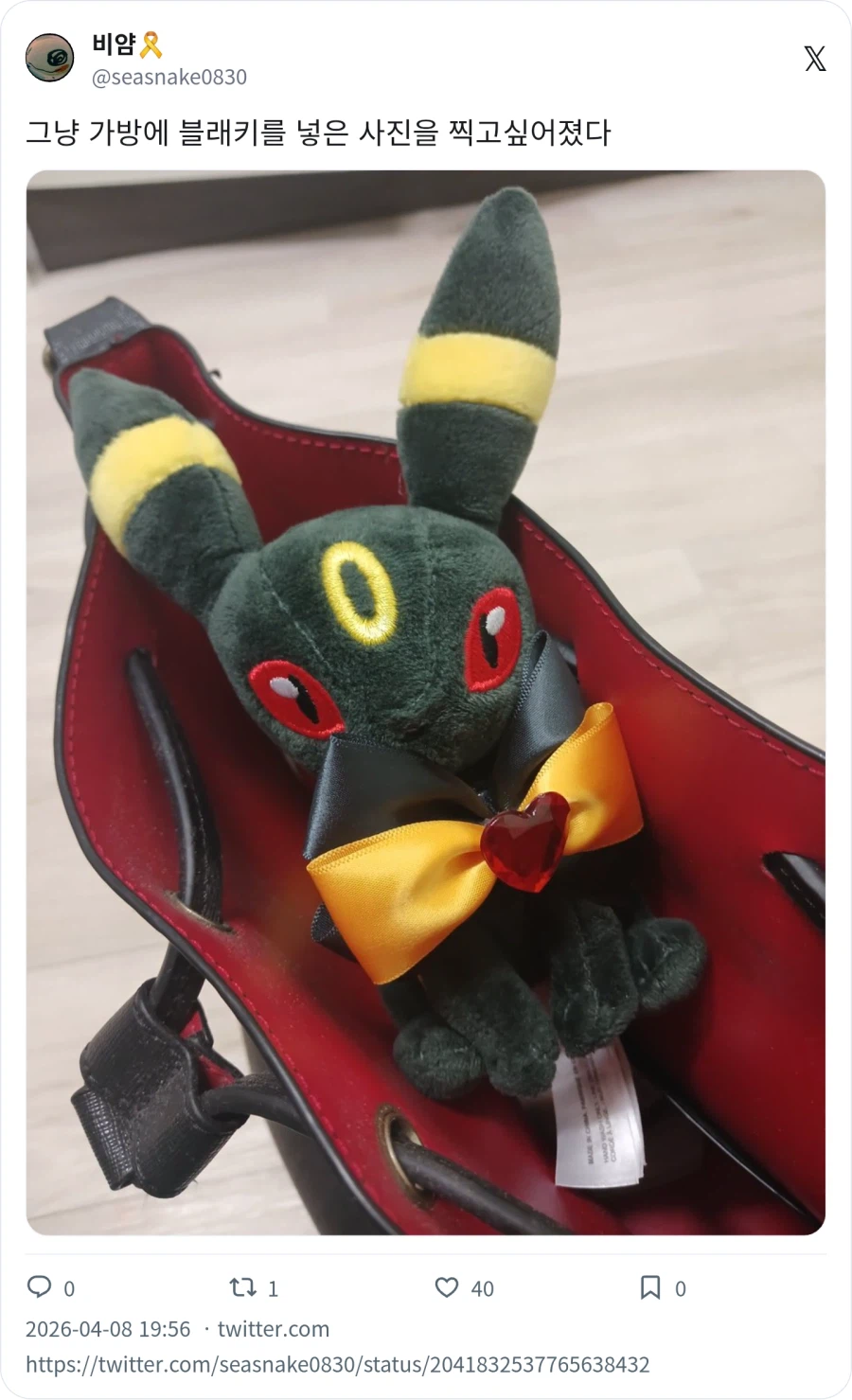 데리고 다니는 반려 포켓몬_6.webp