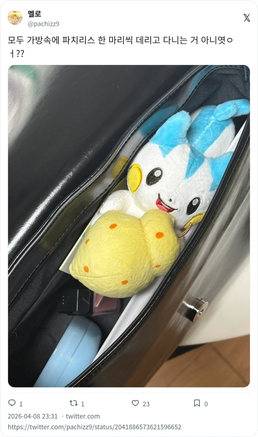 데리고 다니는 반려 포켓몬_7.webp