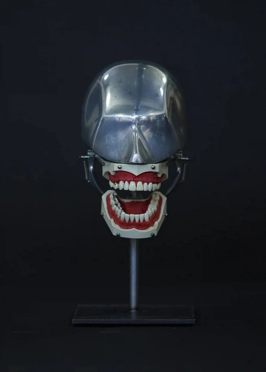 20세기 치과의사들이 실습용으로 썼던 도구.jpg_1.webp