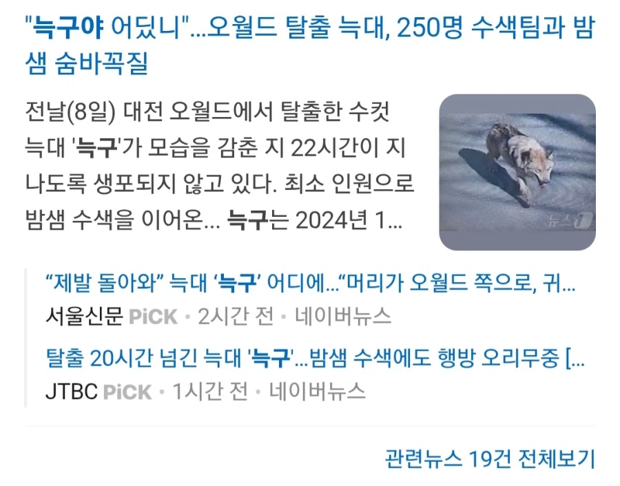 대전 탈출 늑대 이름이 늑구라니 가출할만하네_1.webp