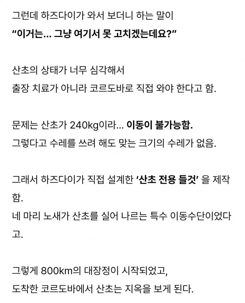 살빼고 복위에 성공한 왕.jpg_4.webp