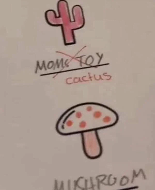 오답인데 일리가 있음_1.webp