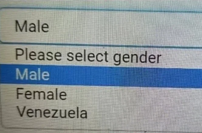 뭔가 이상한 PC 적인 성별칸_1.webp