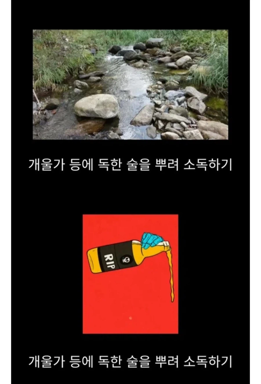 흑사병을 퇴치한 전설적인 의사.jpg_6.webp