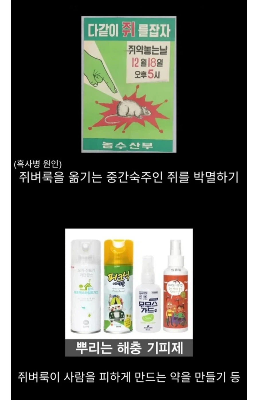 흑사병을 퇴치한 전설적인 의사.jpg_7.webp