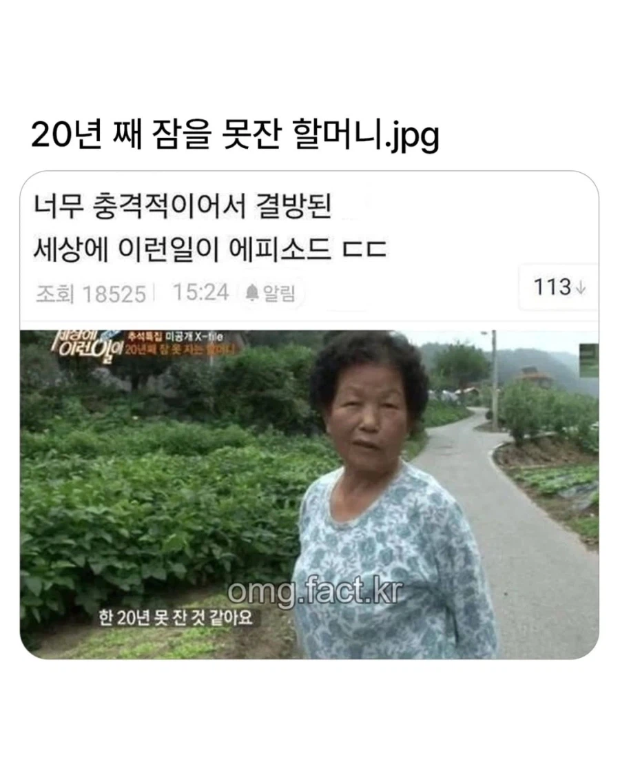 세상에 이런 일이