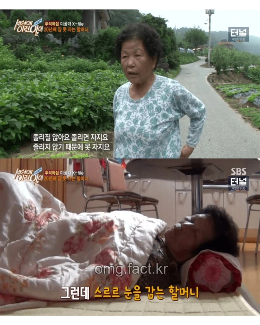 세상에 이런 일이