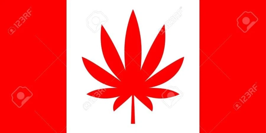 오 캐나다~_1.webp