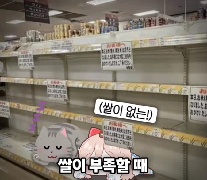 일본 친구가 신기해한 이상한 한국 뉴스.JPG_5.webp