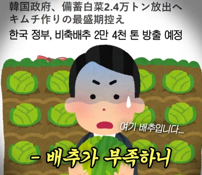 일본 친구가 신기해한 이상한 한국 뉴스.JPG_8.webp