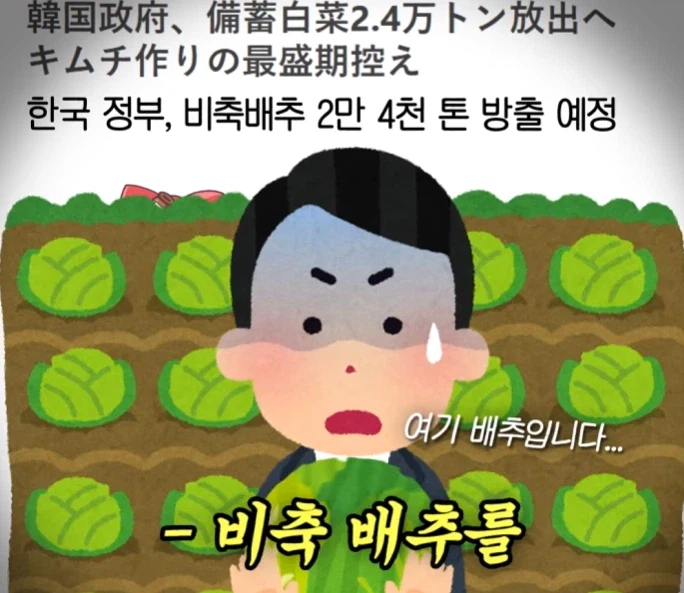 일본 친구가 신기해한 이상한 한국 뉴스.JPG_9.webp