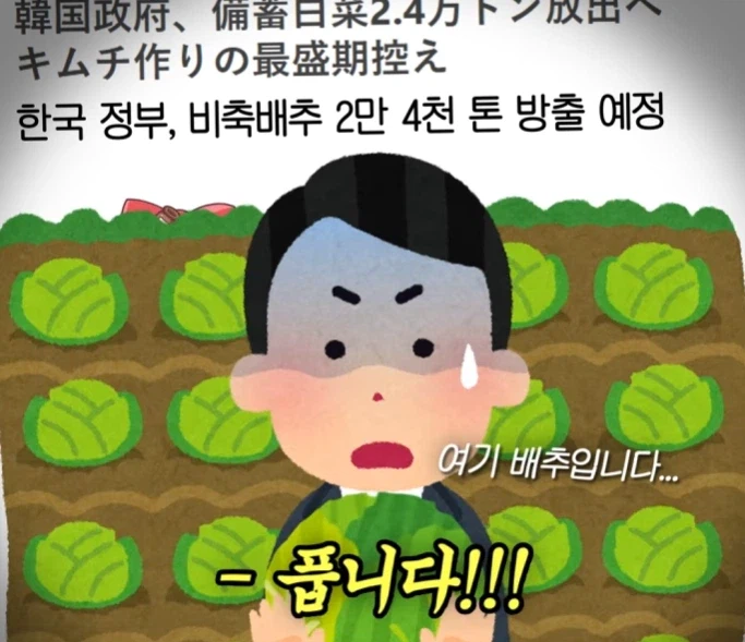 일본 친구가 신기해한 이상한 한국 뉴스.JPG_10.webp