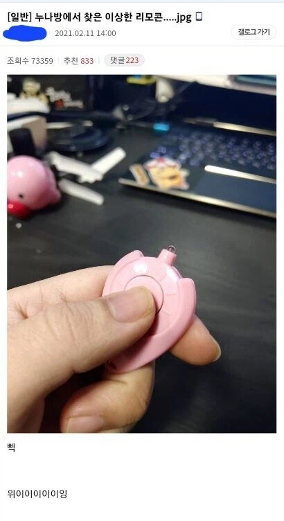 누나방에서 찾은 핑크색 리모컨_1.webp