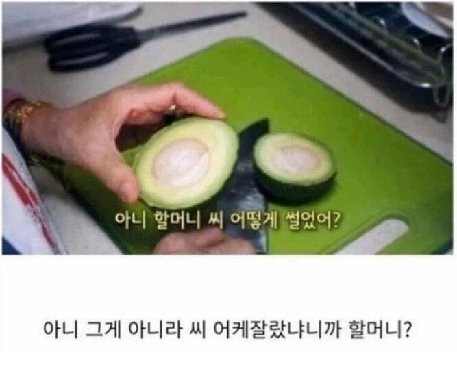 에구... 미안하다... 할미가 잘몰라서..._1.webp