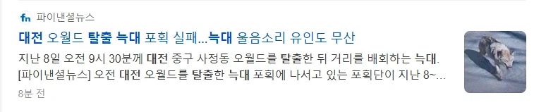 대전 늑대 탈출.... JPG_2.webp