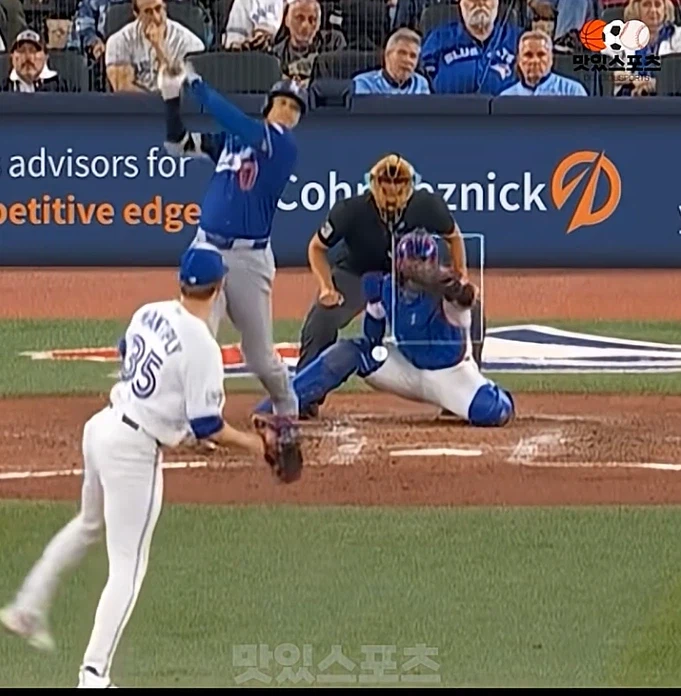 야구공을 네모안에 넣어야하는 직업_1.webp