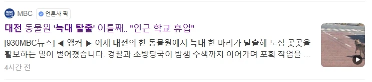 대전 늑대 탈출.... JPG_3.webp