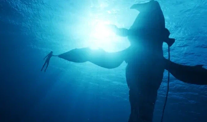 영화) 제임스 카메론이 가장 좋아하는 3가지 테마.sf_1.webp