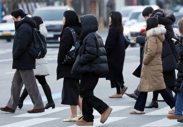 직장인 스트레스가 30프로쯤 주는 사실_1.webp