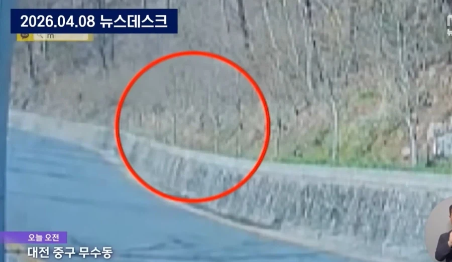 대전, 탈출 늑대 늑구가 안 잡히는 이유_2.webp