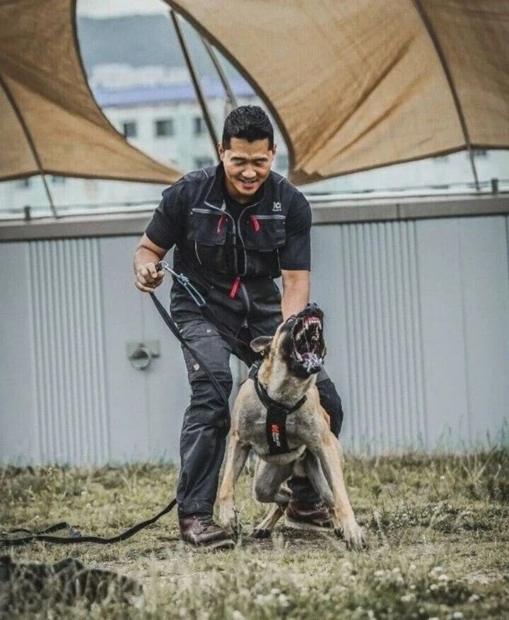 대전 늑대를 무사히 생포하려면 대화로 풀어야지_1.webp