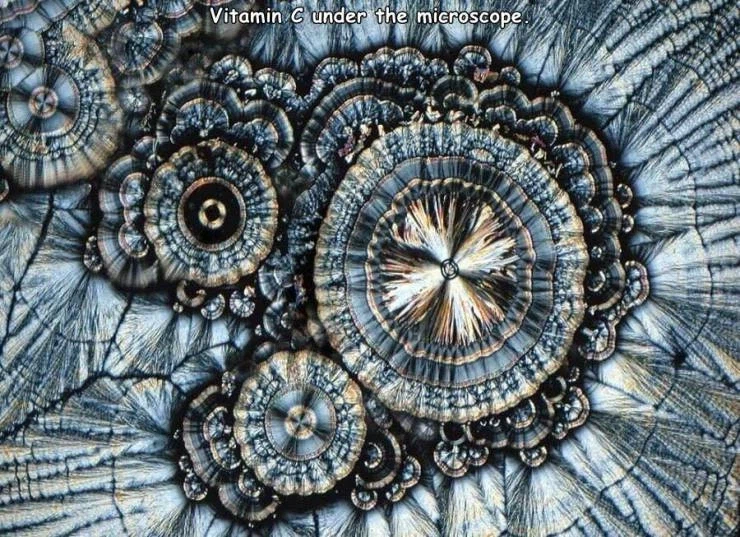 비타민C 확대.jpg_1.webp