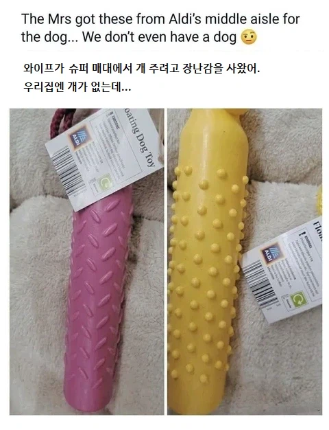 와이프가 슈퍼에서 개 장난감을 사왔어._1.webp