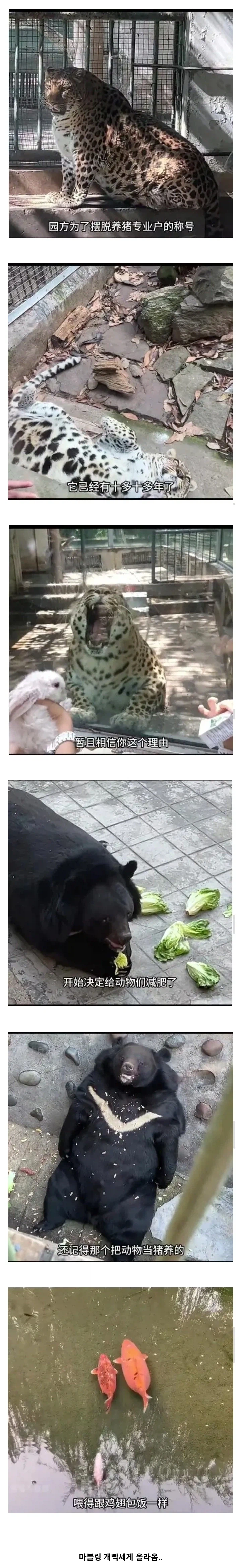 사료 민영화 동물원 대참사...ㄷㄷ_1.webp