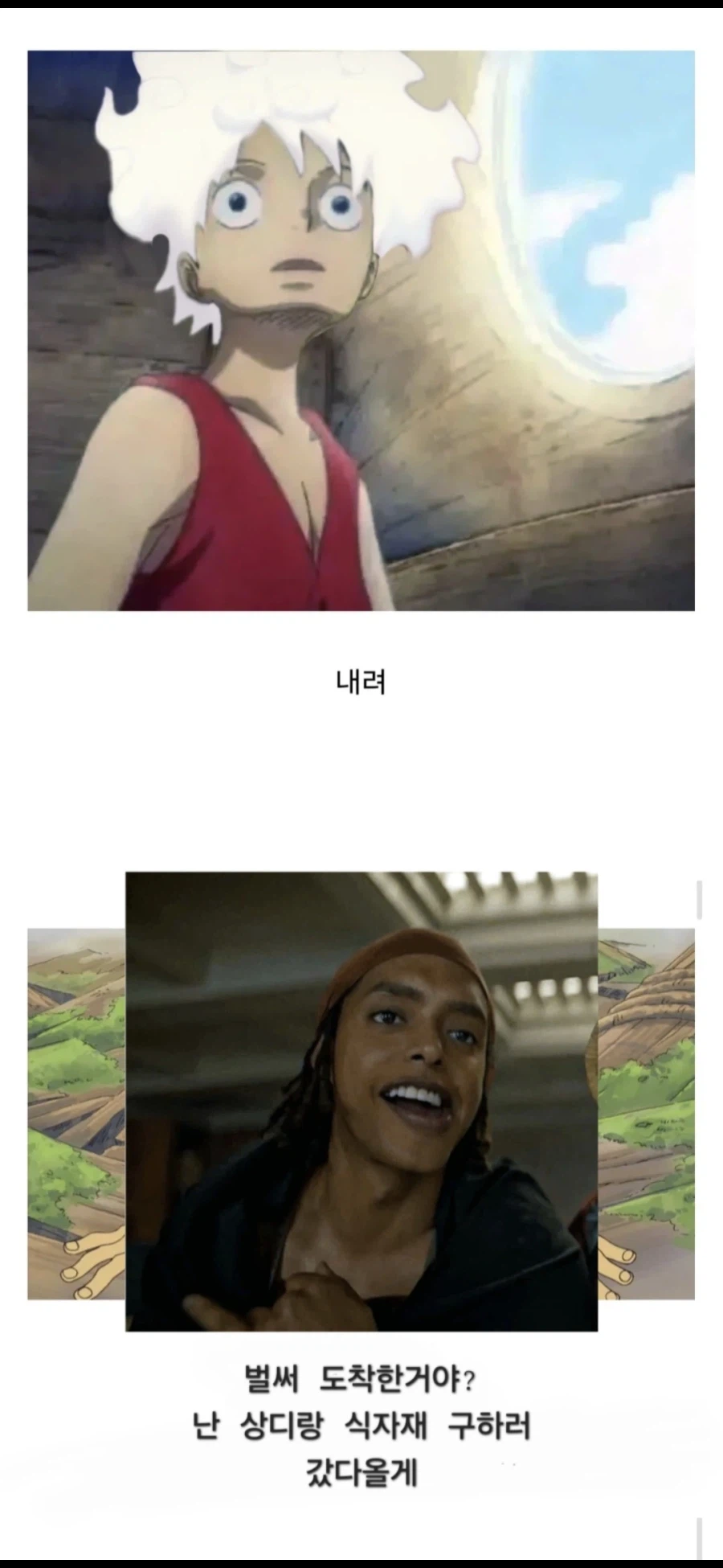 원피스로 보는 외모의 중요성_2.webp